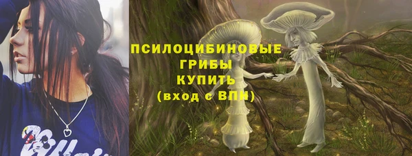 ALPHA PVP Нязепетровск