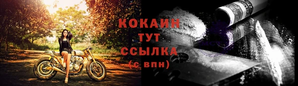 PSILOCYBIN Осинники