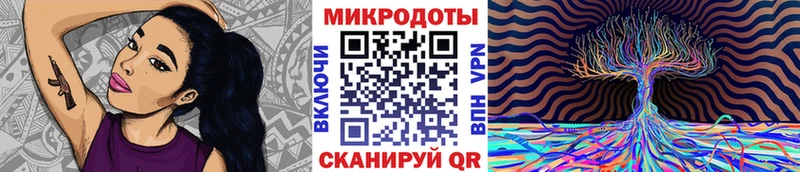 Купить где Джанкой Галлюциногенные грибы Psilocybine cubensis